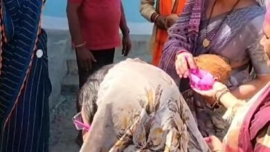 IMG 20250307 WA0011 - IMG 20250307 WA0011