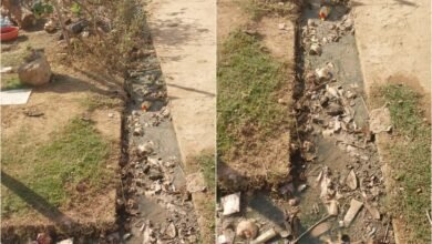 नगरपालिका