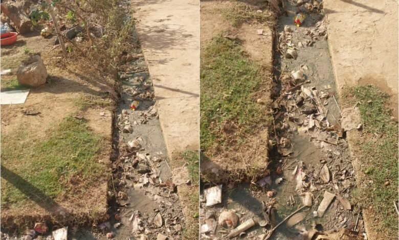 नगरपालिका