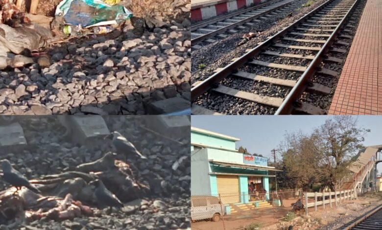 IMG 20260209 WA0001 - IMG 20260209 WA0001