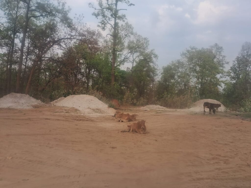 घरघोड़ा में नियमों की उड़ती धज्जियां: कृषि भूमि पर फ्लाई ऐश डंपिंग, मंत्री के दावों पर उठे सवाल 7 घरघोड़ा