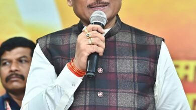 नैनो डीएपी