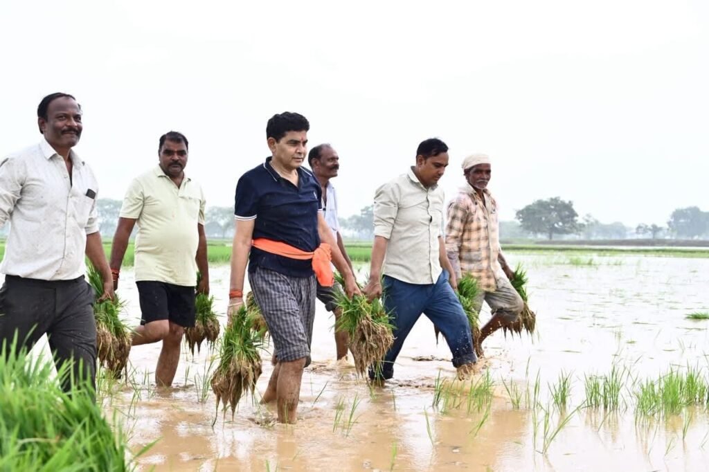 किसानों के बीच पहुंचे मंत्री टंकराम वर्मा, मथाई, थरहा ढुलाई और धान रोपाई में लिया हिस्सा 6 मंत्री टंकराम वर्मा