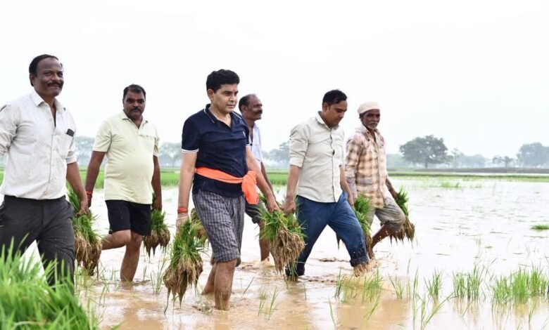 किसानों के बीच पहुंचे मंत्री टंकराम वर्मा, मथाई, थरहा ढुलाई और धान रोपाई में लिया हिस्सा 5 मंत्री टंकराम वर्मा