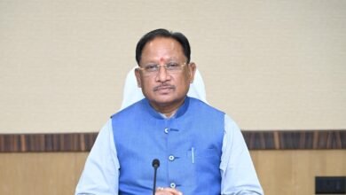 हरित अर्थव्यवस्था