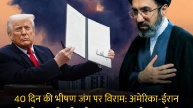 IMG 20260408 161318 - IMG 20260408 161318