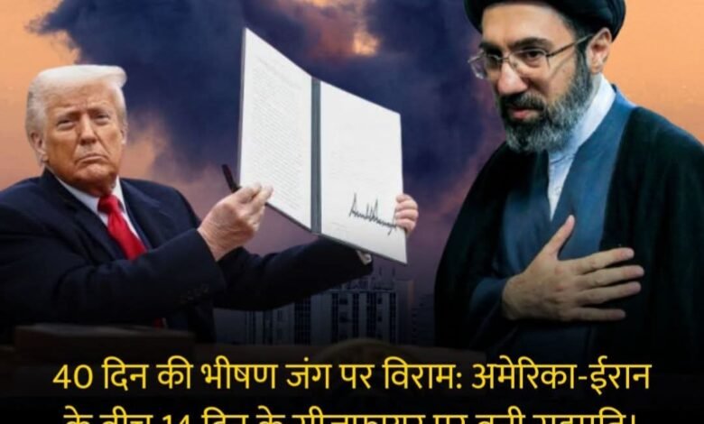 IMG 20260408 161318 - IMG 20260408 161318