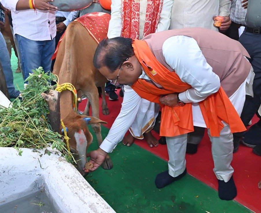 आज मुख्यमंत्री श्री विष्णु देव साय ने 11 जिलों में 29 गौधाम का किया शुभारंभ 6 गौधाम योजना