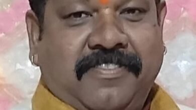 हिन्दी भाषा