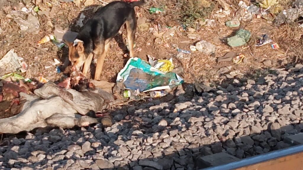 img 20260209 wa00031288664019885011167 - img 20260209 wa00031288664019885011167