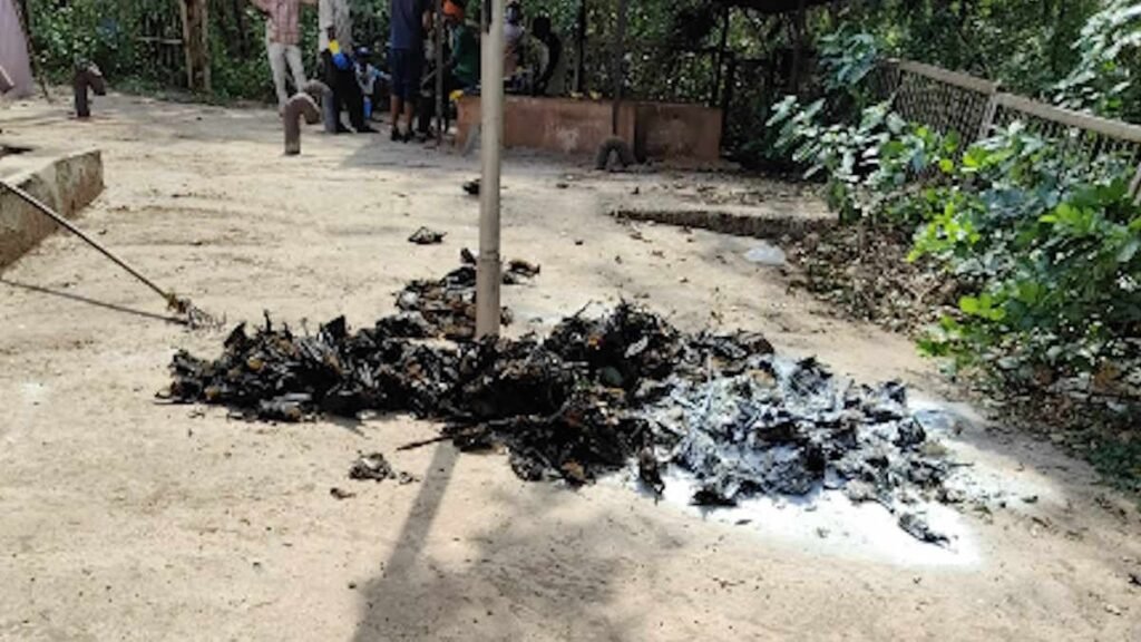 img 20260528 wa00111330658640632512159 - img 20260528 wa00111330658640632512159